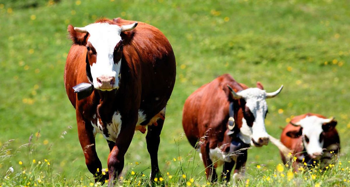 Продужен рок за пријаве за субвенције до 12. јуна